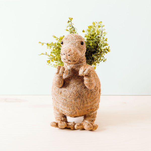 T-Rex Coco Fiber Planter - Henderson Garden Supply