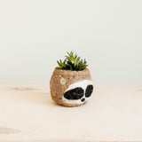 Three-tone Sloth Coco Coir Planter - Handmade Planters