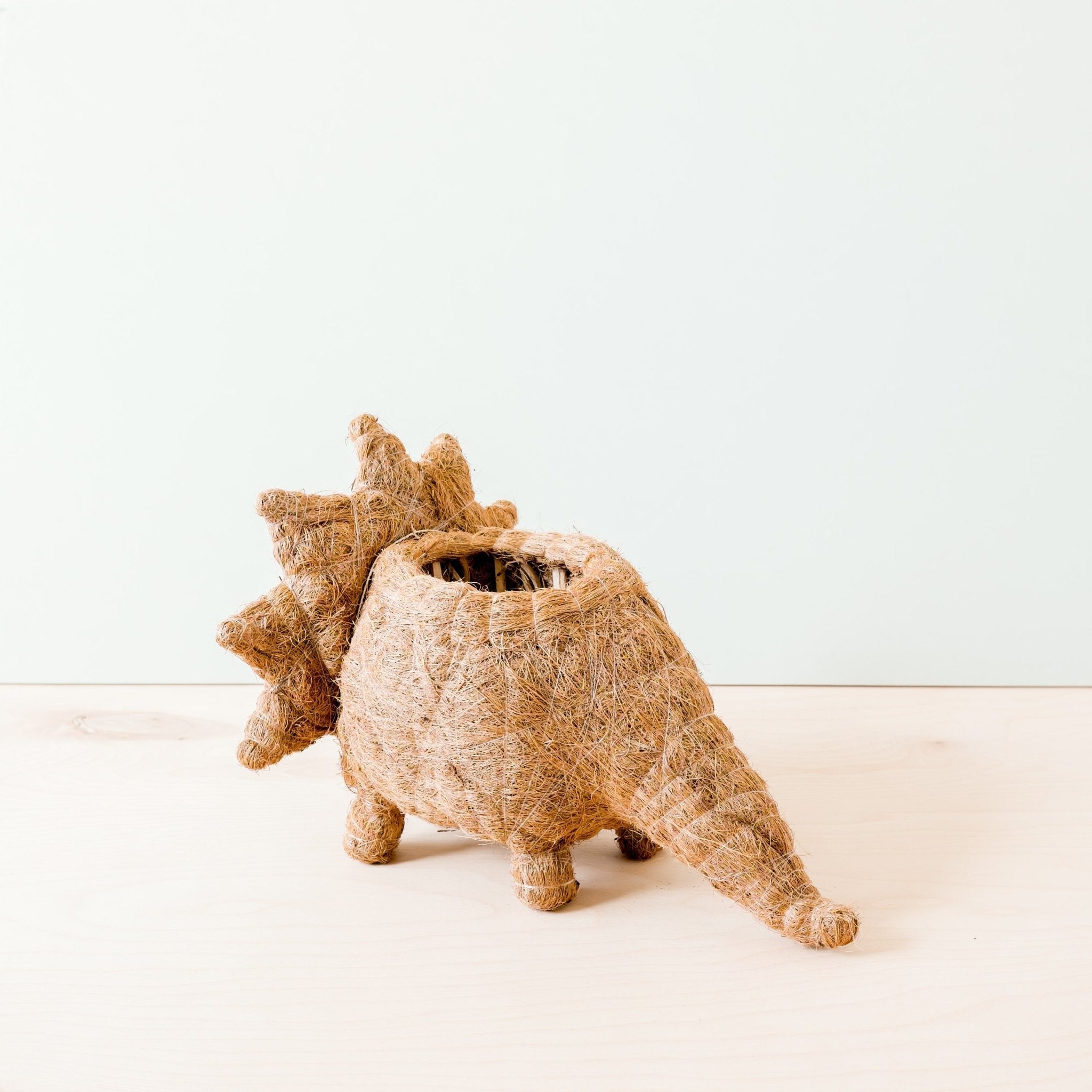 Triceratops Coco Fiber Planter - Henderson Garden Supply