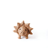 Triceratops Coco Fiber Planter - Henderson Garden Supply