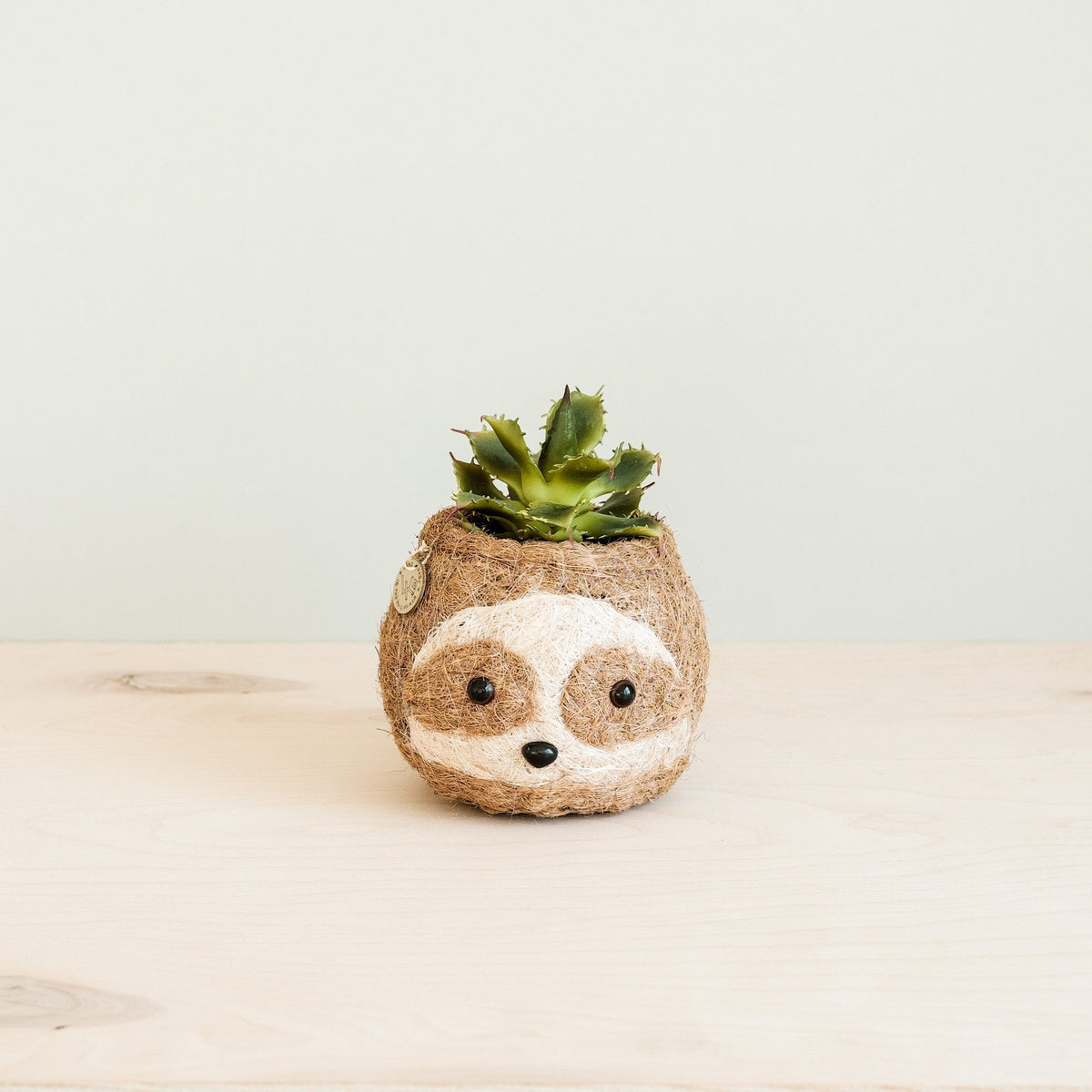 sloth pot plant Two-tone Sloth Coco Coir Planter
