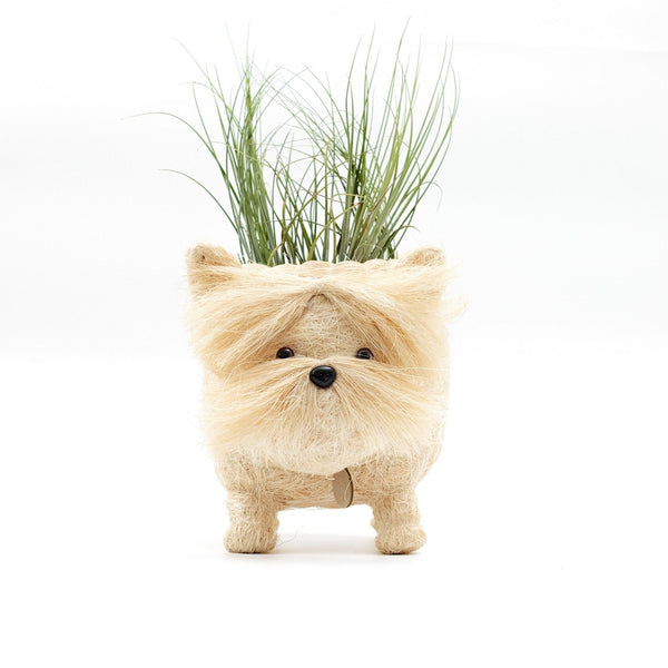 Westie Coco Fiber Planter - Henderson Garden Supply