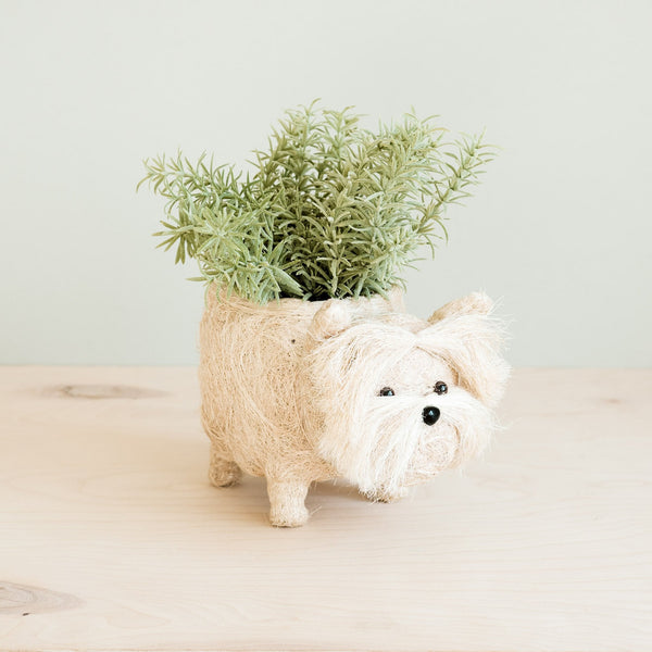 Westie Coco Fiber Planter - Henderson Garden Supply