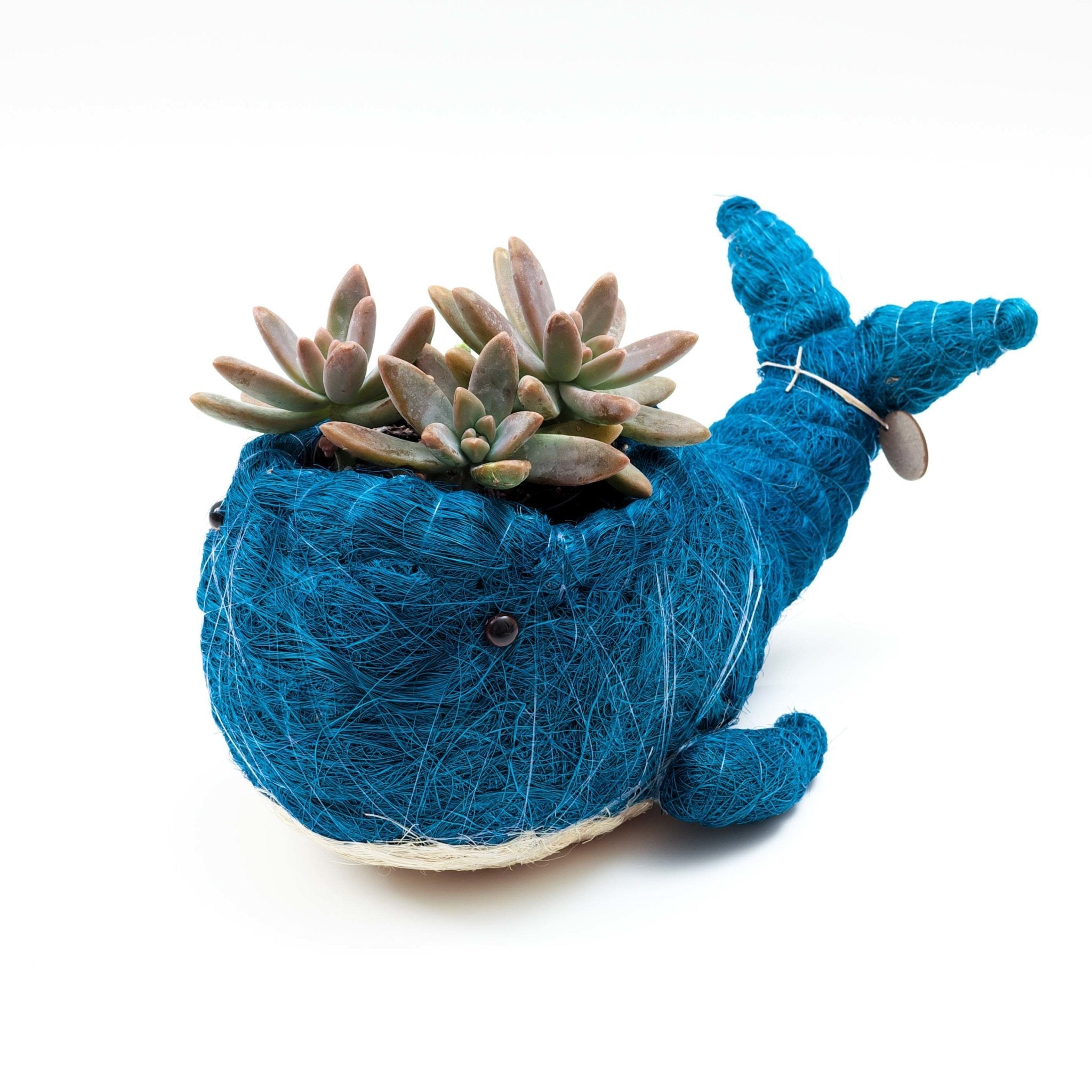 Wicker Whale Coco Planter | Henderson Garden Supply