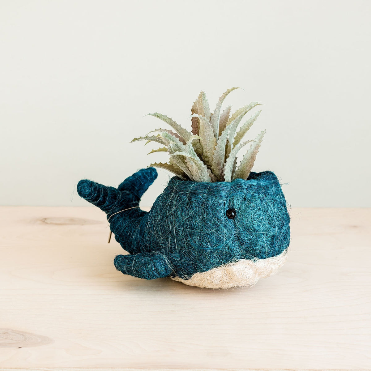 whale succulent planter Wicker Whale Planter