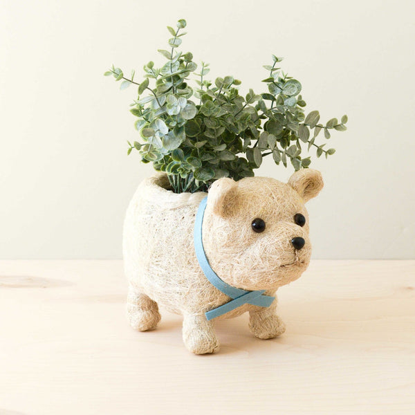 Polar Bear Coco Fiber Planter - Henderson Garden Supply