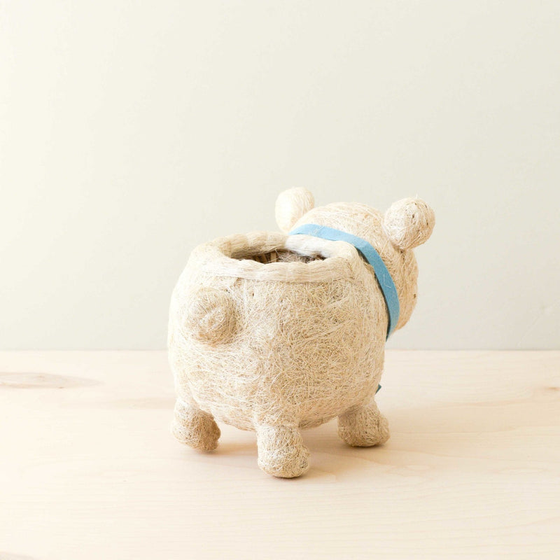 Polar Bear Coco Fiber Planter - Henderson Garden Supply