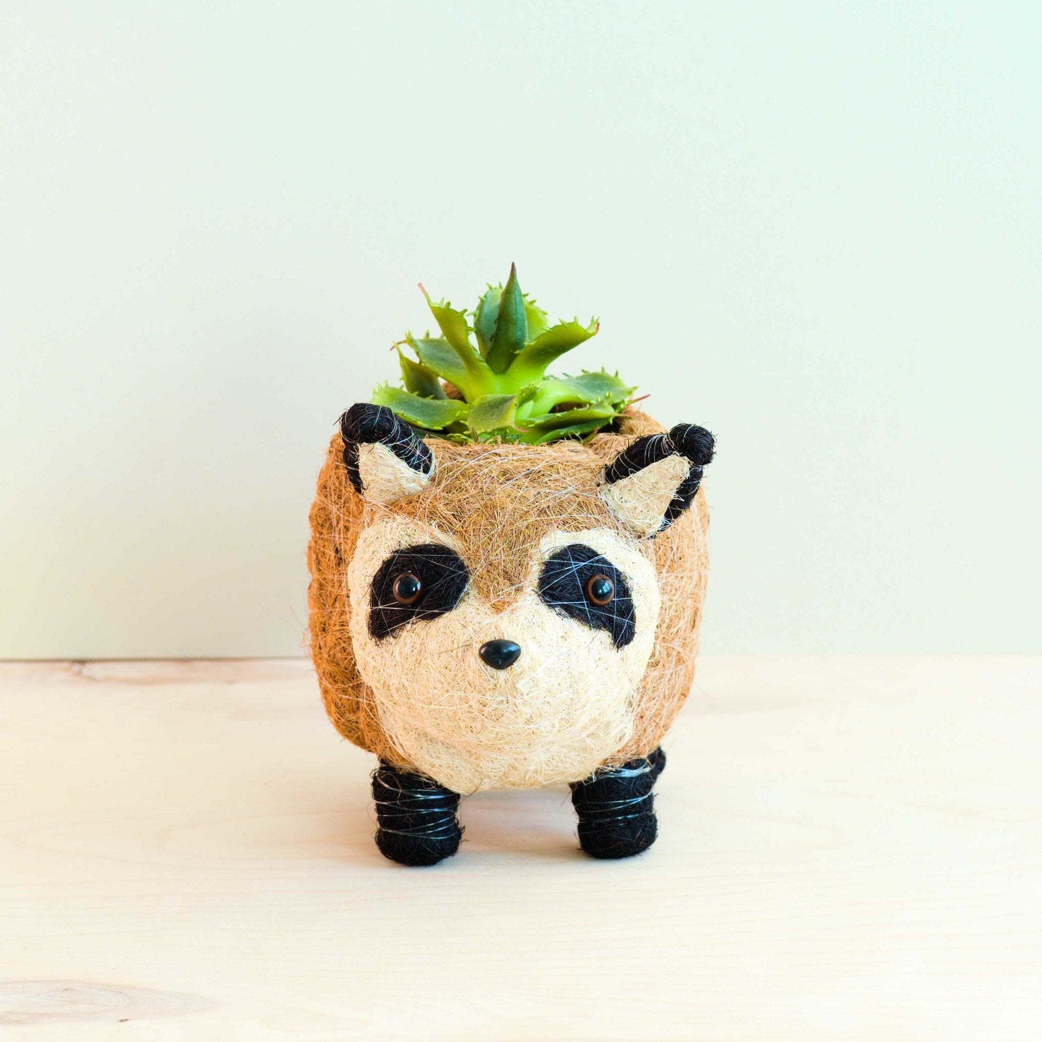 Raccoon Planter Handmade Plant Pot