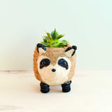 Raccoon Coco Fiber Planter - Henderson Garden Supply