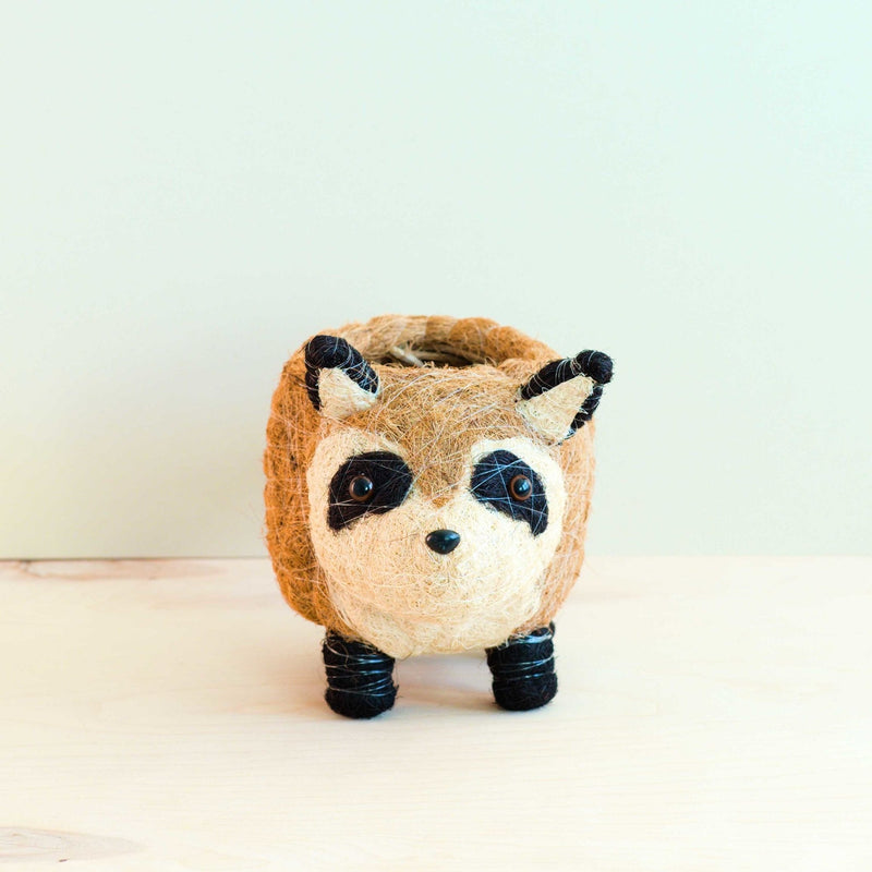 Raccoon Coco Fiber Planter - Henderson Garden Supply