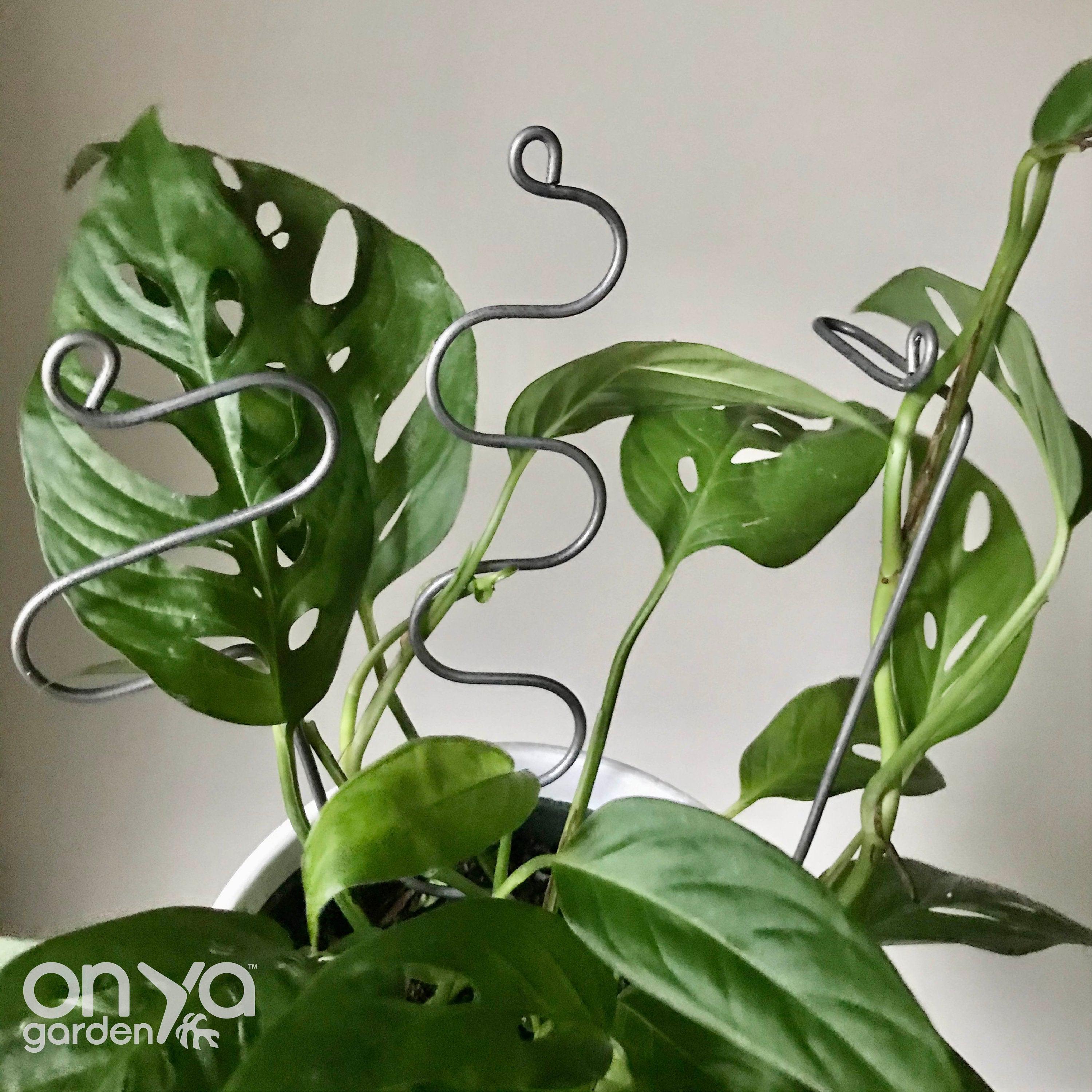 Steel Modern Plant Sticks Set of 3, Decorative Plant Stakes
