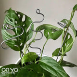 Steel Modern Plant Sticks Set of 3, Decorative Plant Stakes