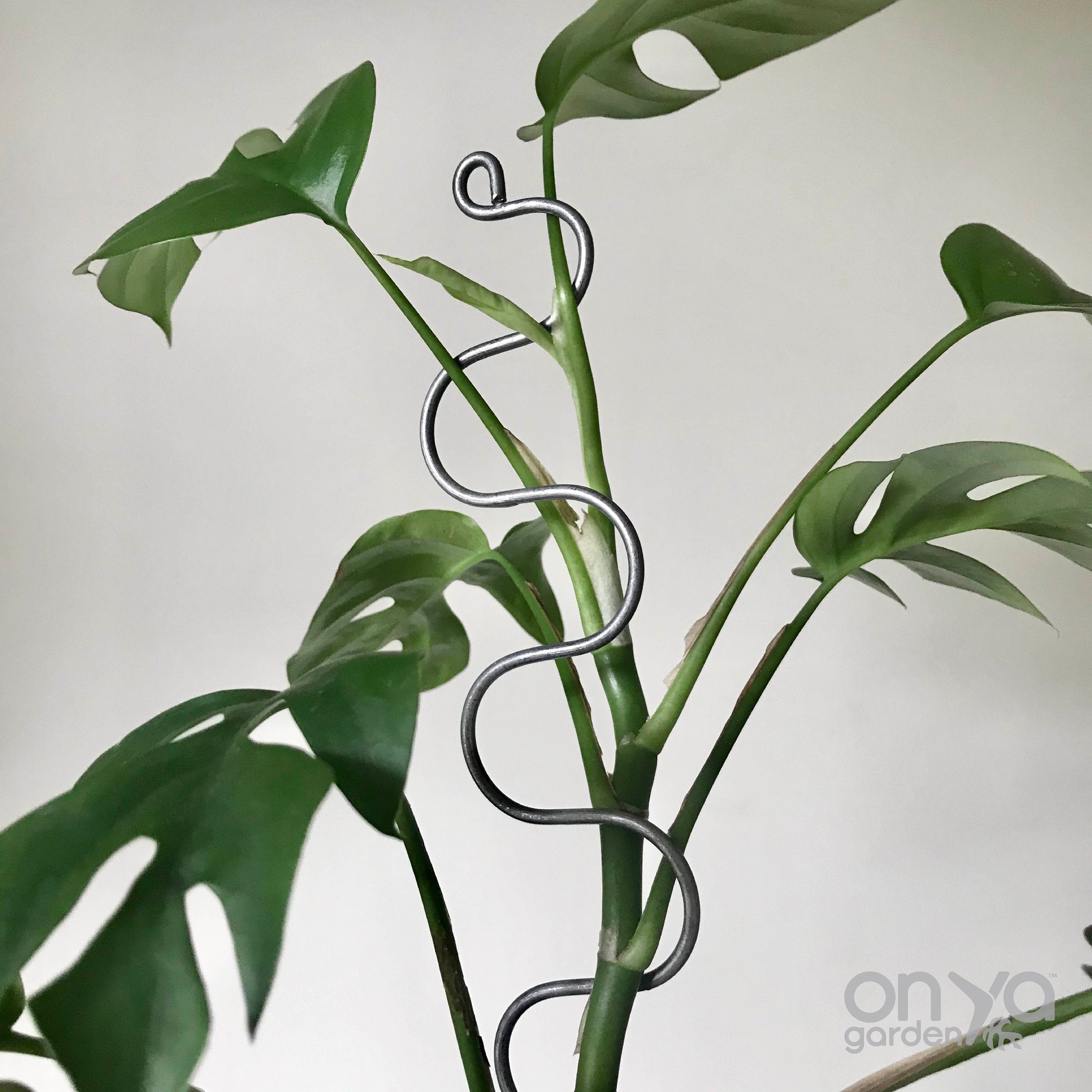 Steel Modern Plant Sticks Set of 3, Decorative Plant Stakes