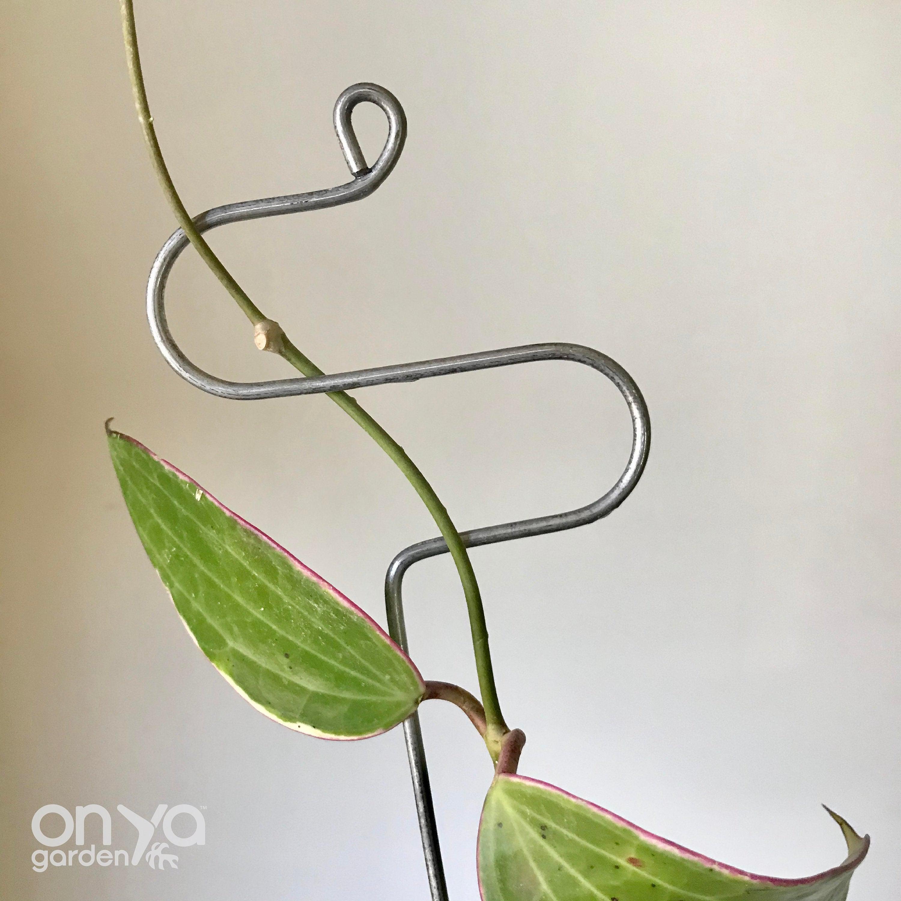 Steel Modern Plant Sticks Set of 3, Decorative Plant Stakes