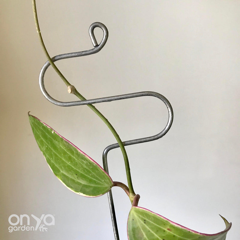 Steel Modern Plant Sticks Set of 3, Decorative Plant Stakes