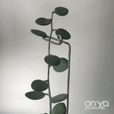 Steel Modern Plant Sticks Set of 3, Decorative Plant Stakes