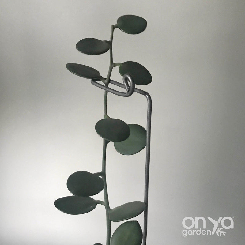 Steel Modern Plant Sticks Set of 3, Decorative Plant Stakes