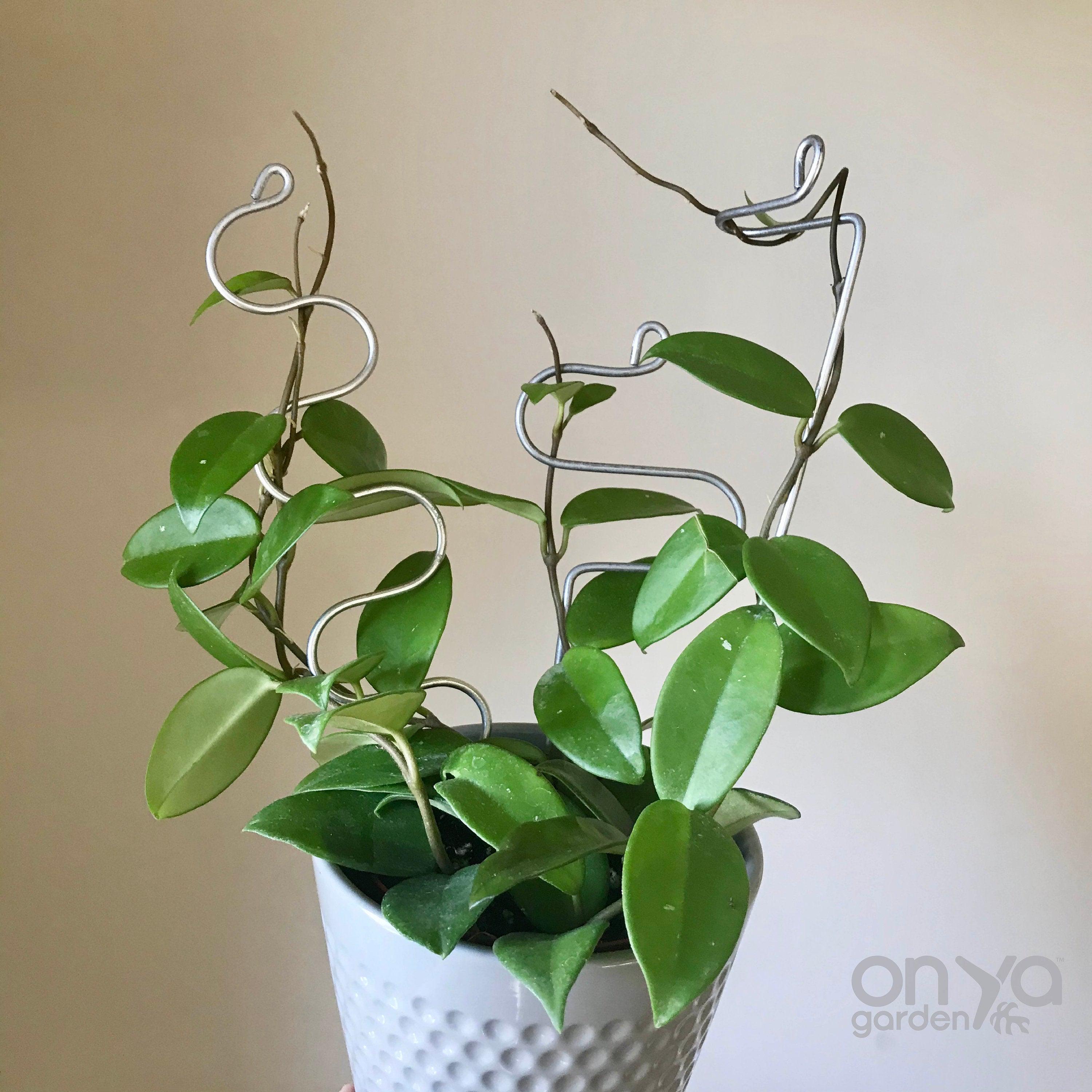 Steel Modern Plant Sticks Set of 3, Decorative Plant Stakes