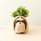 Shih-tzu coco fiber planter - Henderson Garden Supply