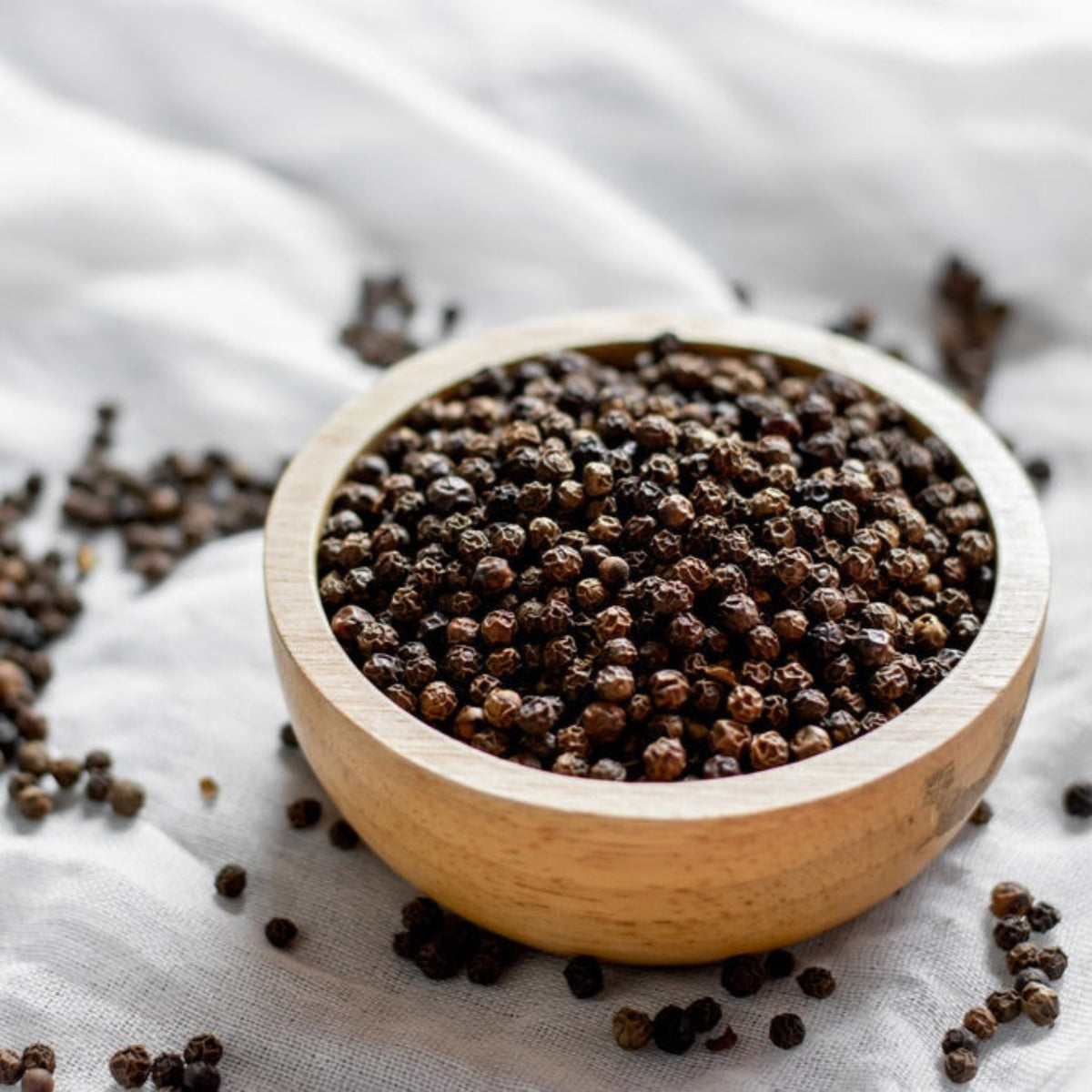 Black Pepper Plant – Piper nigrum Tropical Vine