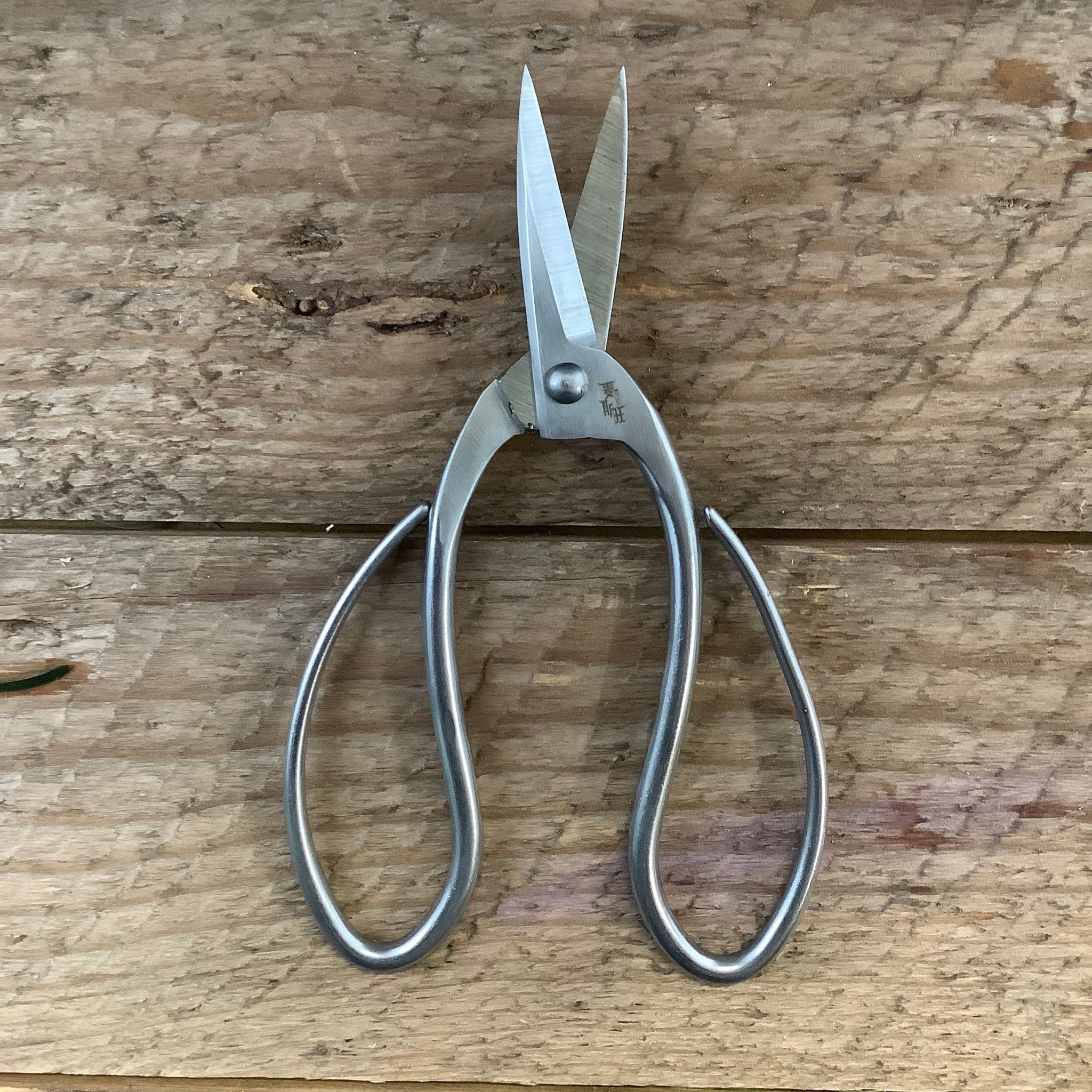 Stainless Garden Scissors Pruning Shears