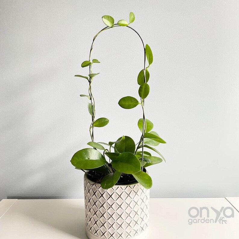 Steel Arch Plant Trellis, 3 Sizes Available