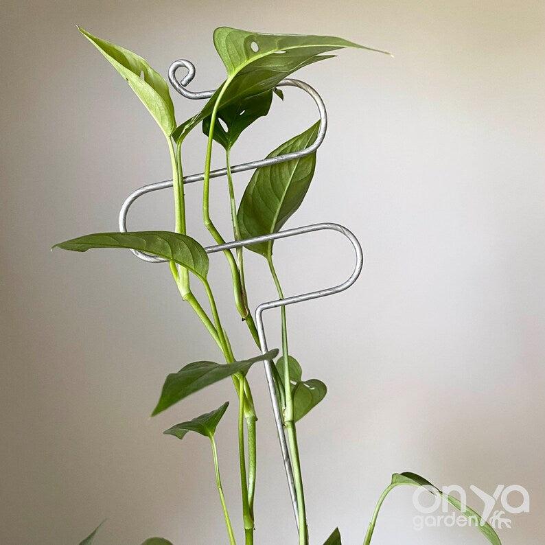 Steel Hairpin Curve Plant Stick