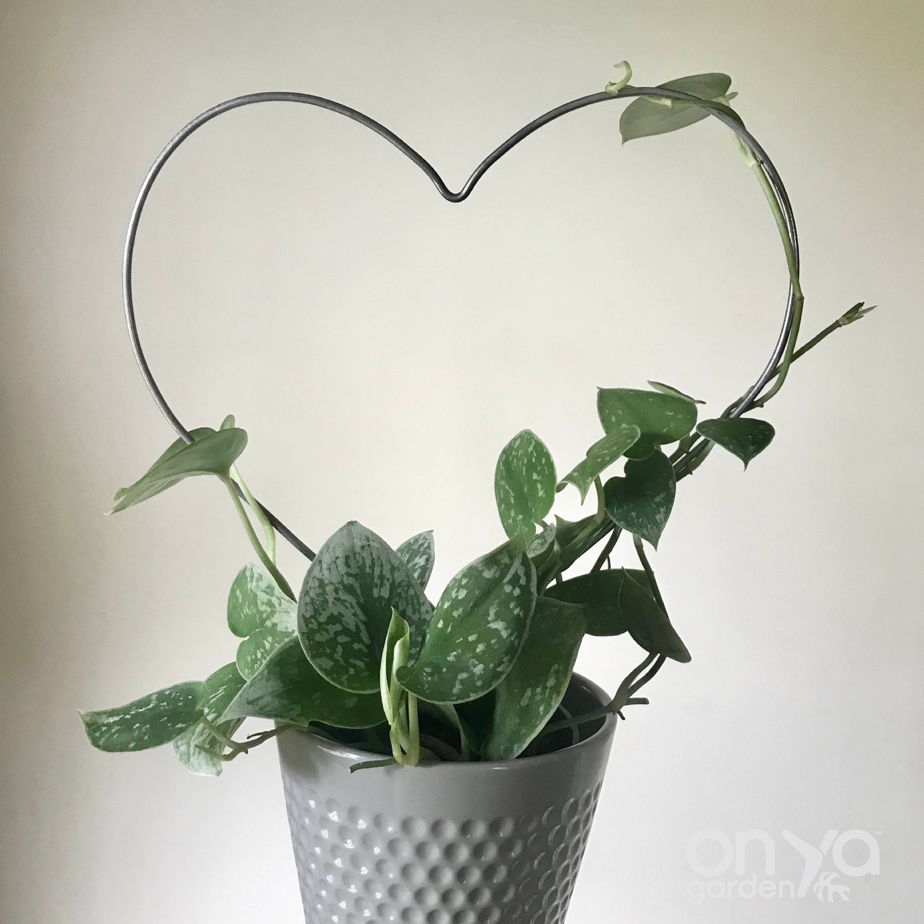 Steel Heart Plant Trellis, 3 Sizes Available
