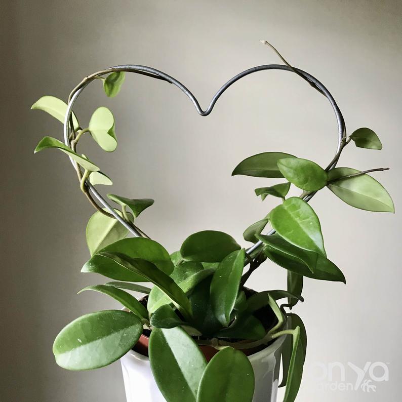 Steel Heart Plant Trellis, 3 Sizes Available