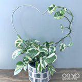 Steel Heart Plant Trellis, 3 Sizes Available