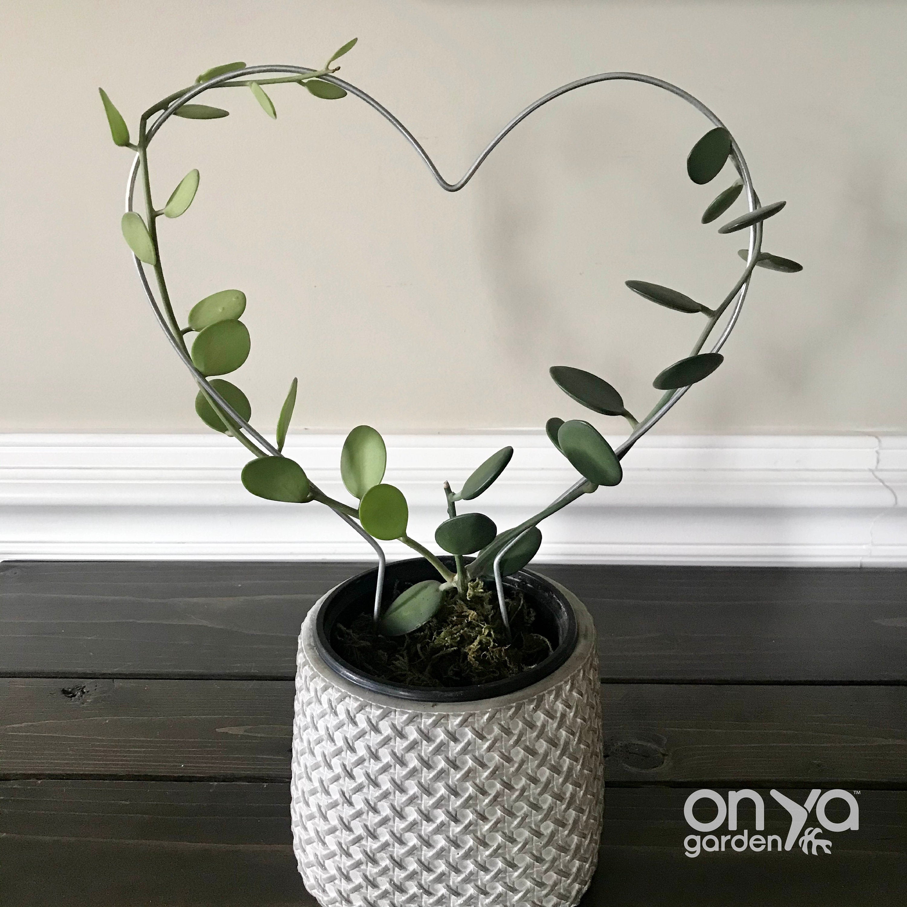 Steel Heart Plant Trellis, 3 Sizes Available
