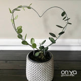 Steel Heart Plant Trellis, 3 Sizes Available