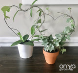Steel Heart Plant Trellis, 3 Sizes Available