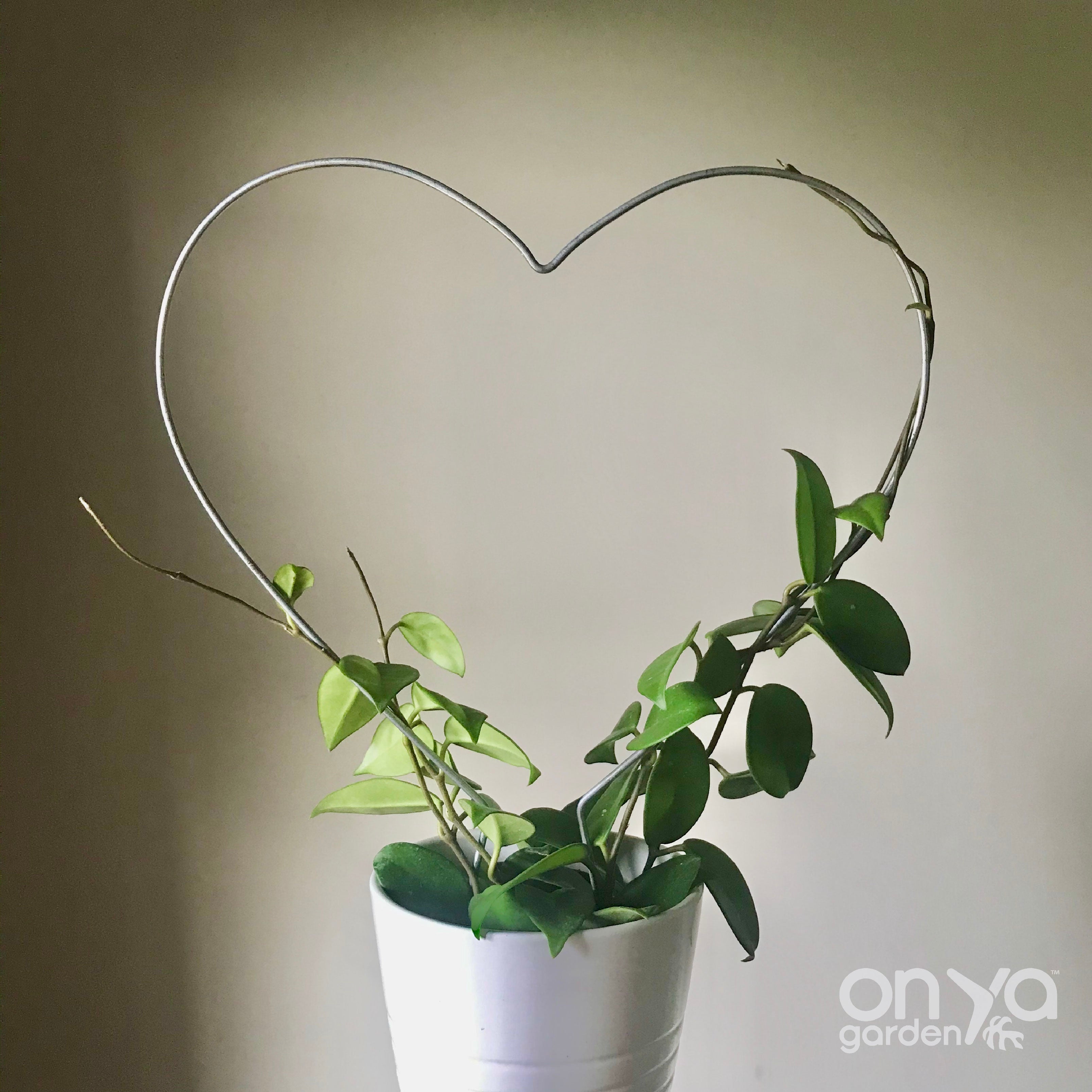 Steel Heart Plant Trellis, 3 Sizes Available