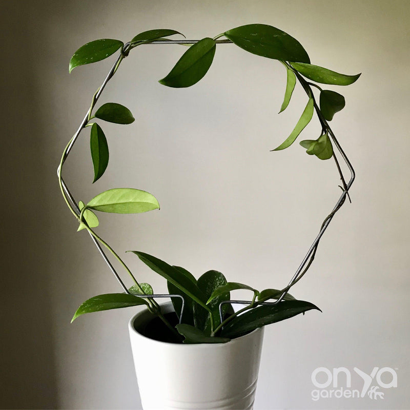 Steel Hexagon Honeycomb Plant Trellis, 3 Sizes Available