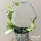Steel Hexagon Honeycomb Plant Trellis, 3 Sizes Available
