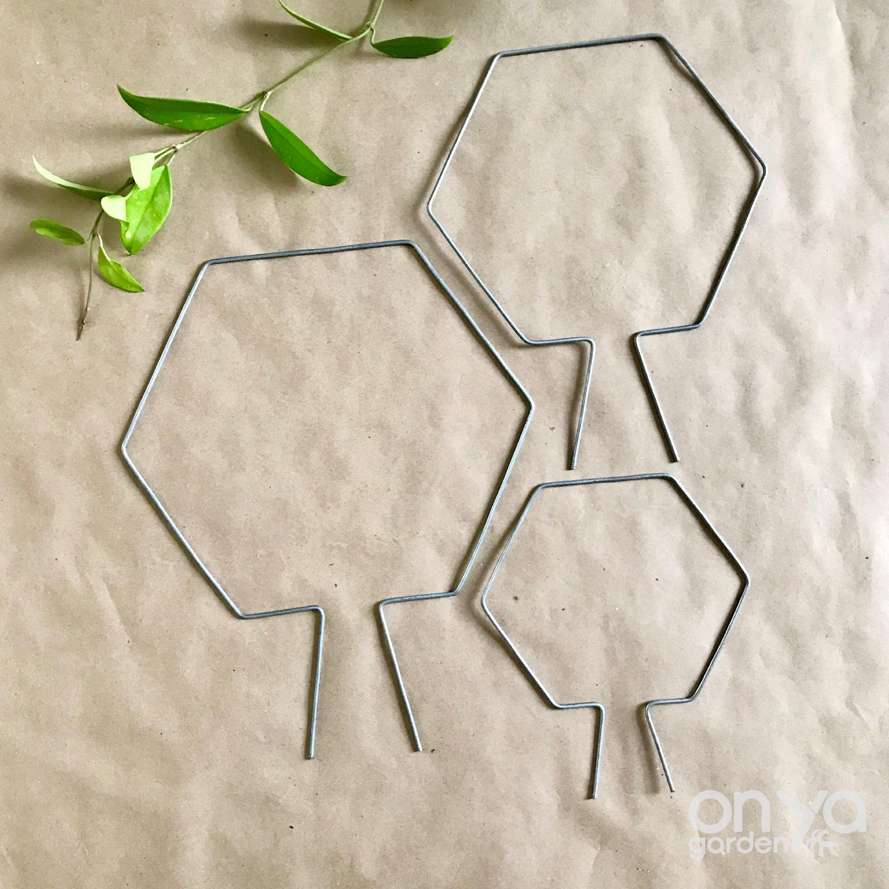 Steel Hexagon Honeycomb Plant Trellis, 3 Sizes Available