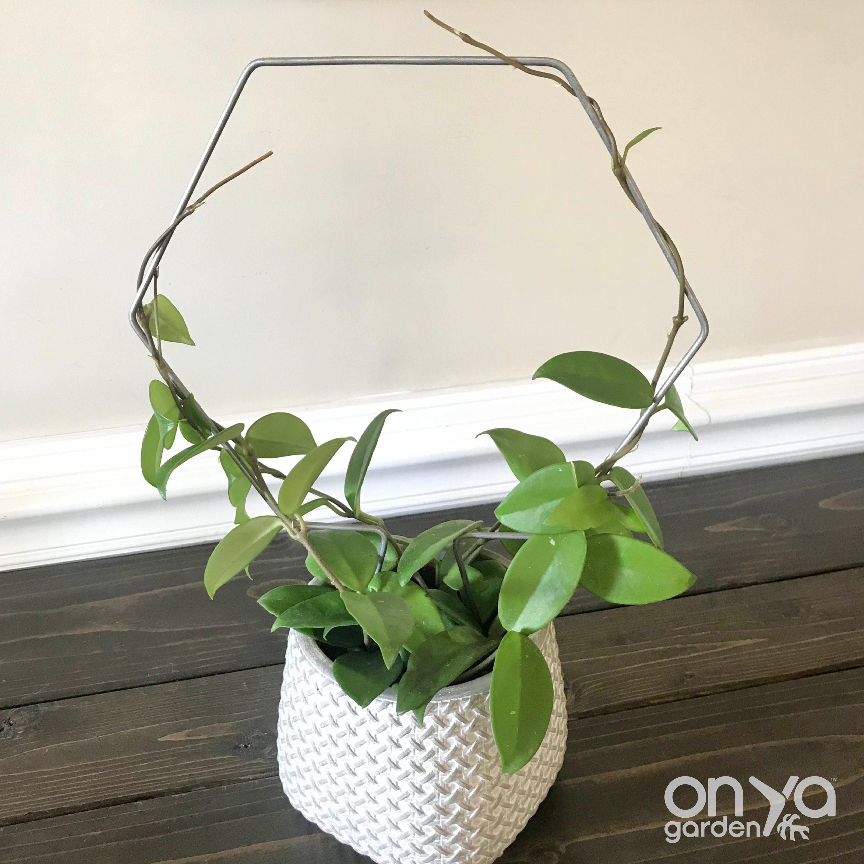 Steel Hexagon Honeycomb Plant Trellis, 3 Sizes Available
