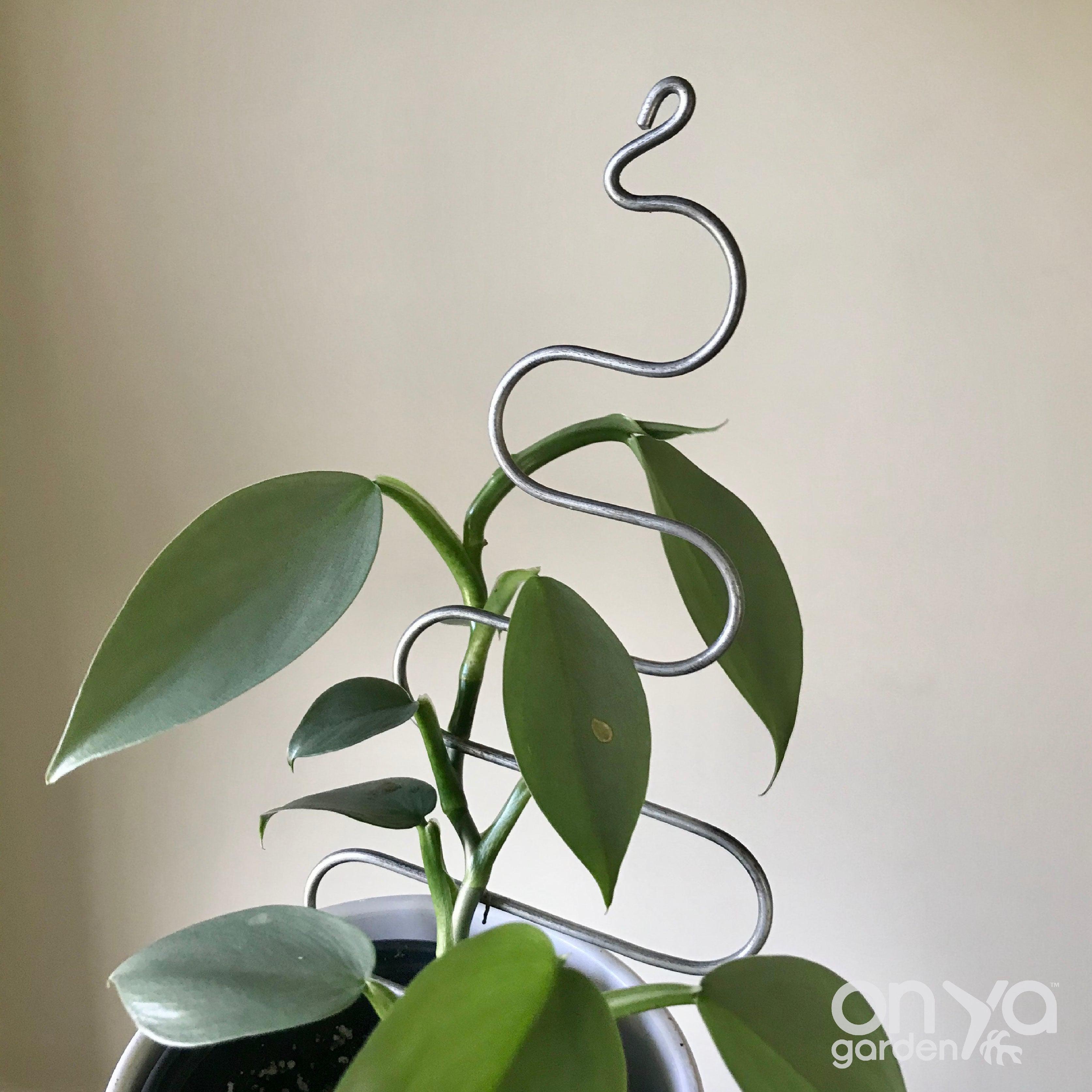 Steel Tree Plant Stick, Decorative Plant Stake