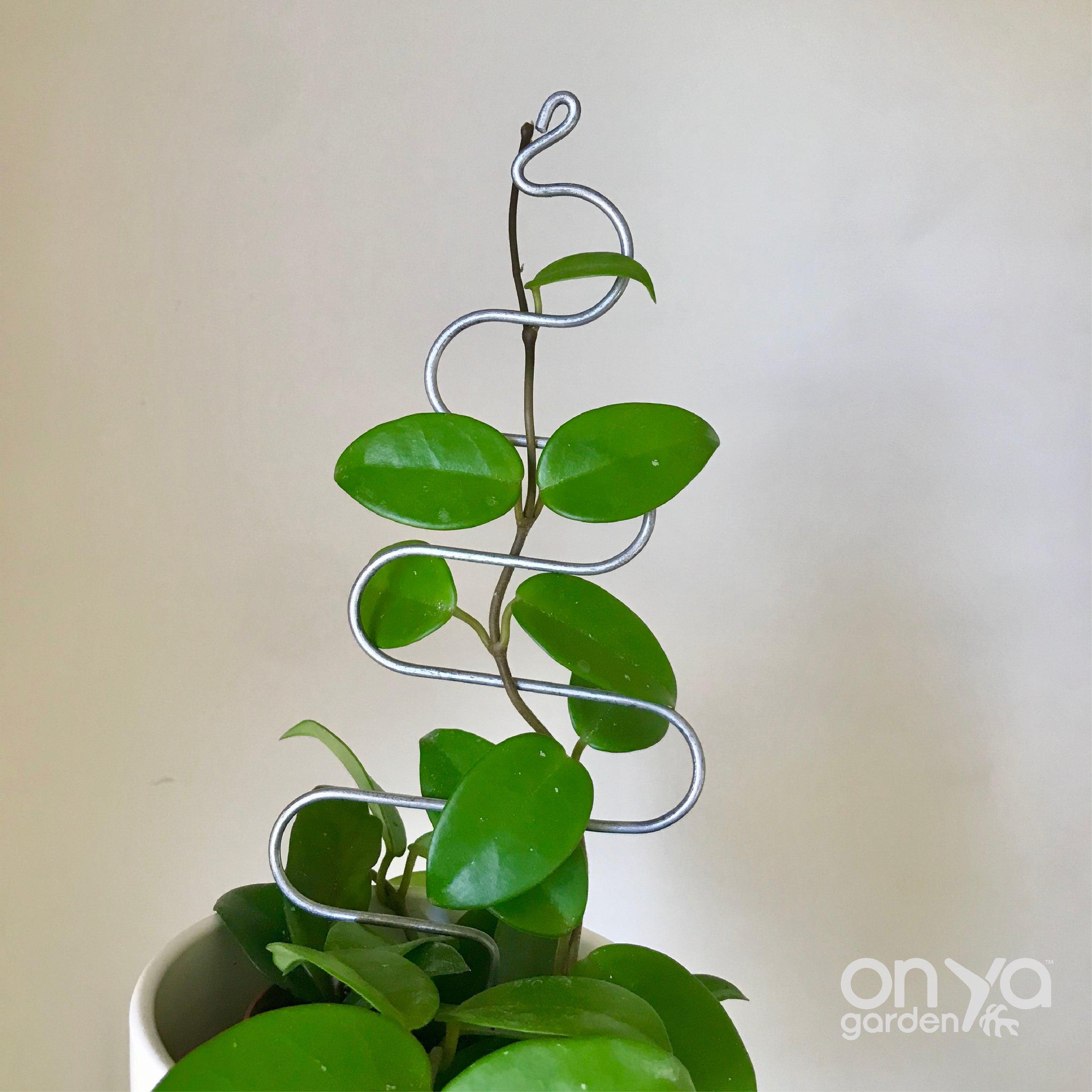 Steel Tree Plant Stick, Decorative Plant Stake