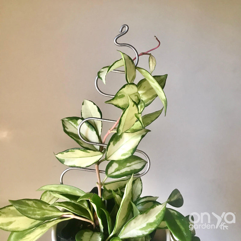 Steel Tree Plant Stick, Decorative Plant Stake