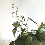 Steel Tree Plant Stick, Decorative Plant Stake