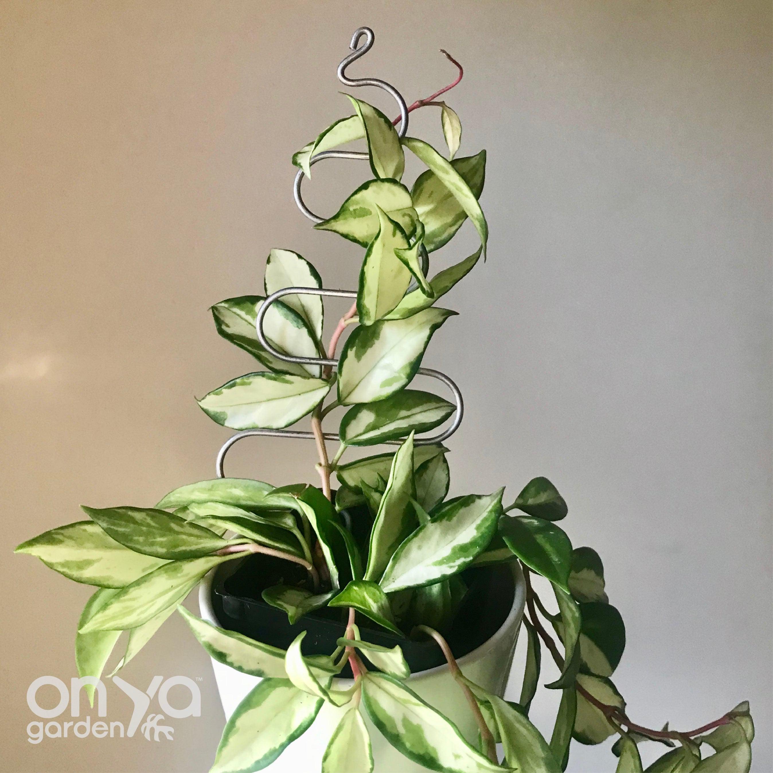 Steel Tree Plant Stick, Decorative Plant Stake
