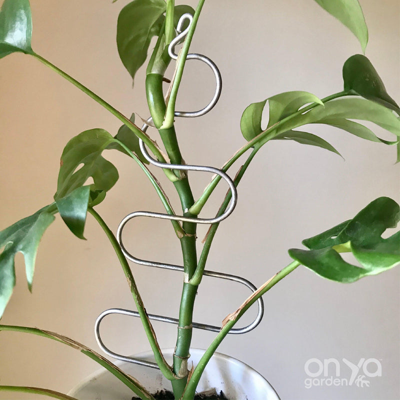 Steel Tree Plant Stick, Decorative Plant Stake