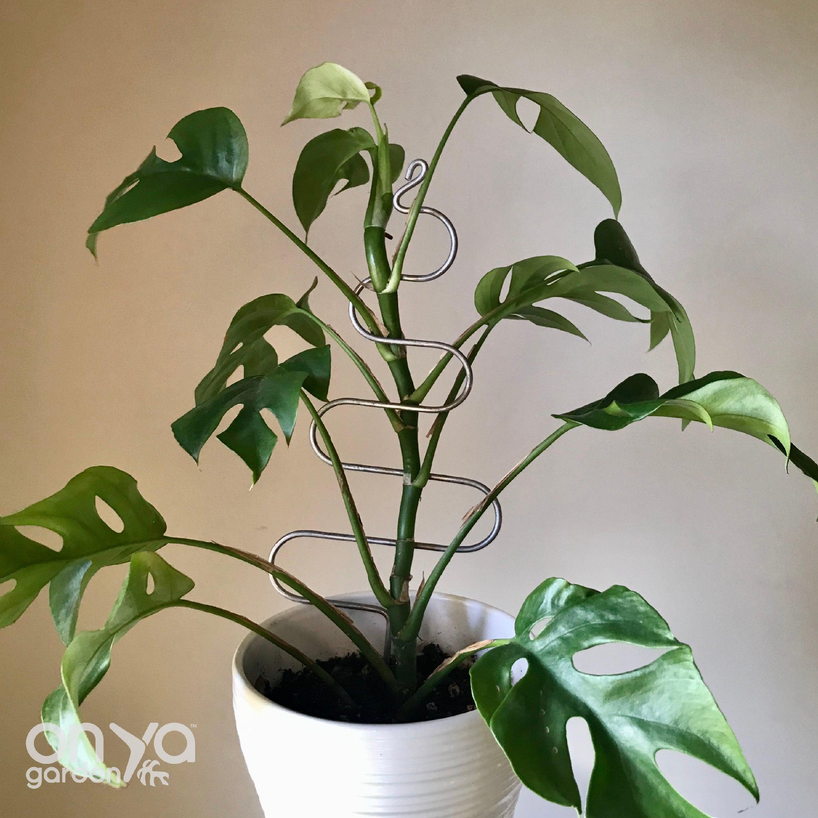 Steel Tree Plant Stick, Decorative Plant Stake