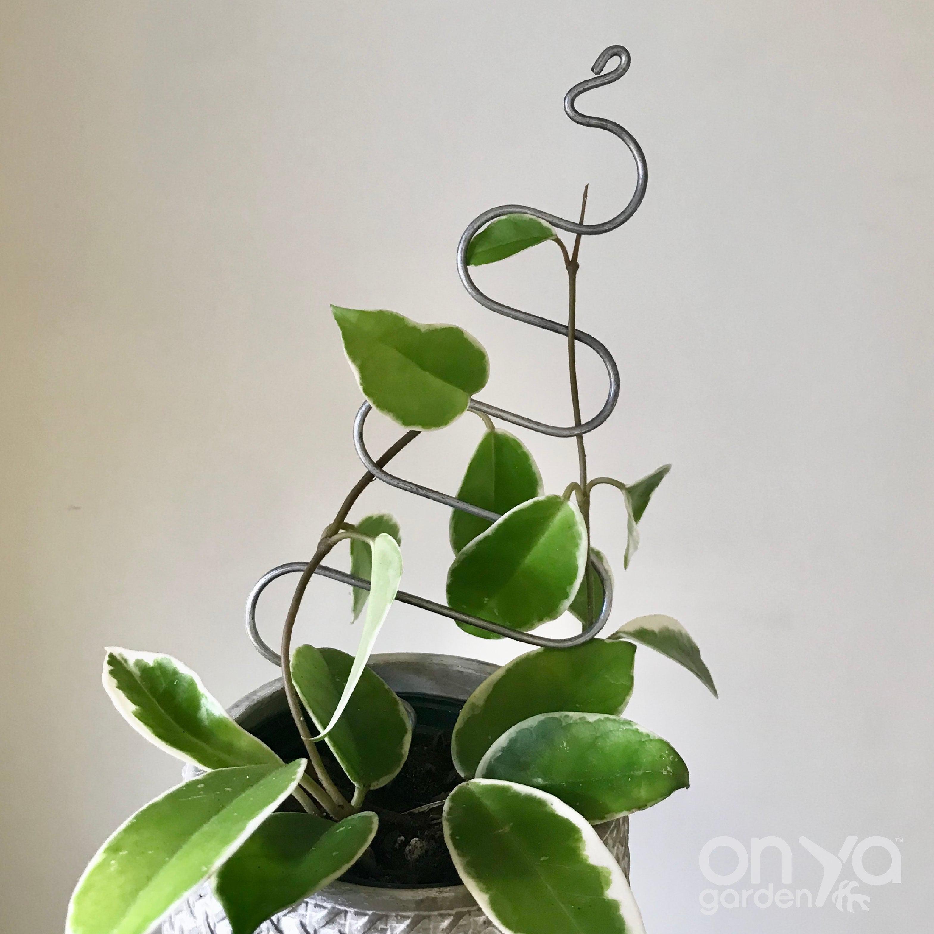 Steel Tree Plant Stick, Decorative Plant Stake
