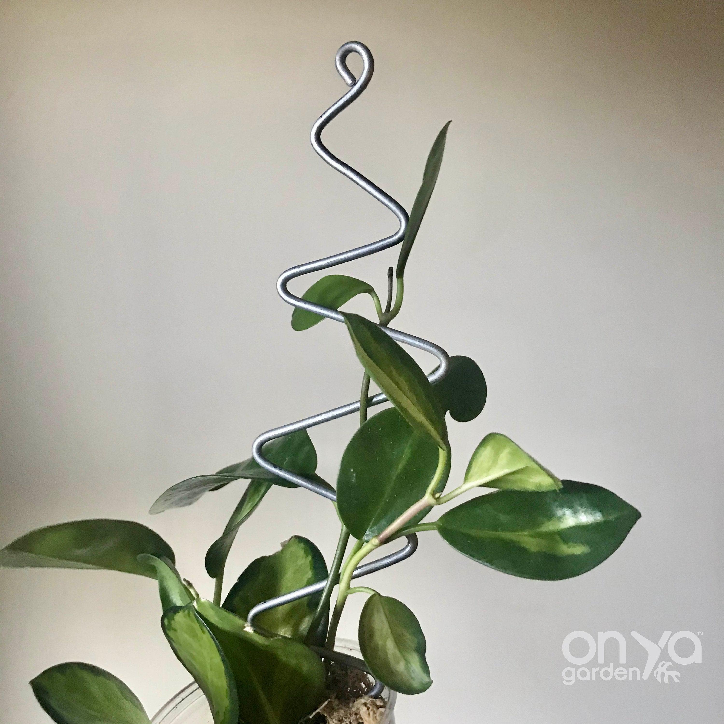 Steel Zig Zag Plant Stick, Decorative Plant Stake