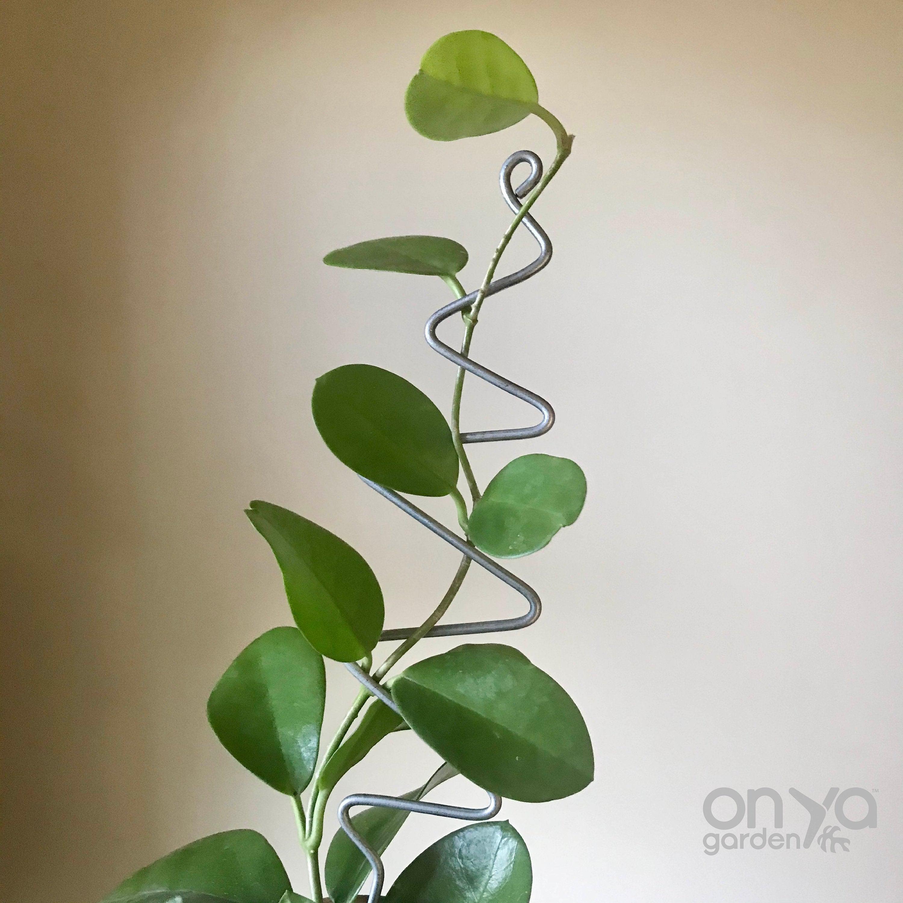 Steel Zig Zag Plant Stick, Decorative Plant Stake