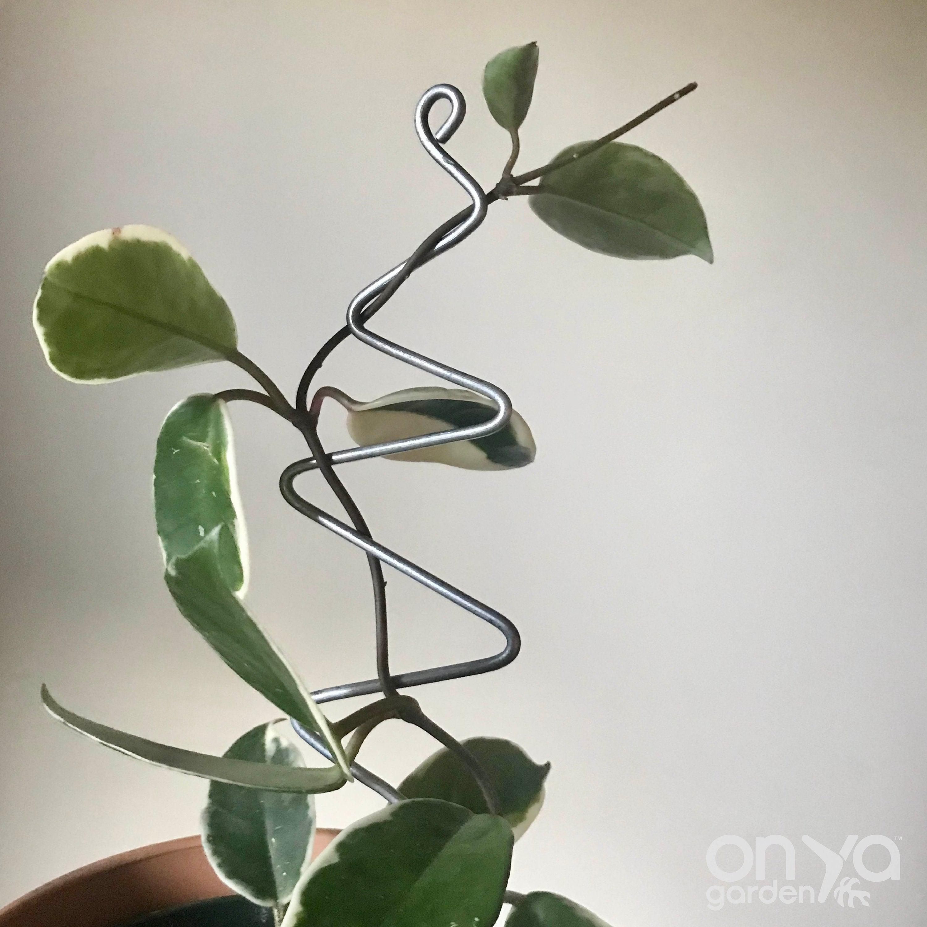Steel Zig Zag Plant Stick, Decorative Plant Stake