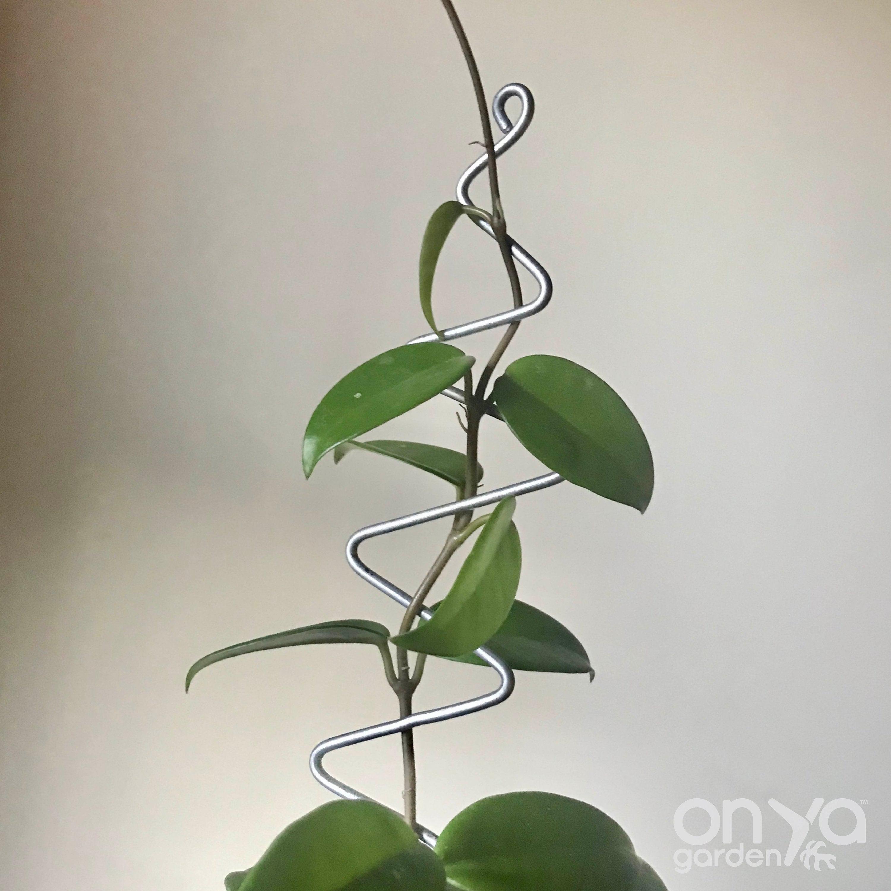 Steel Zig Zag Plant Stick, Decorative Plant Stake